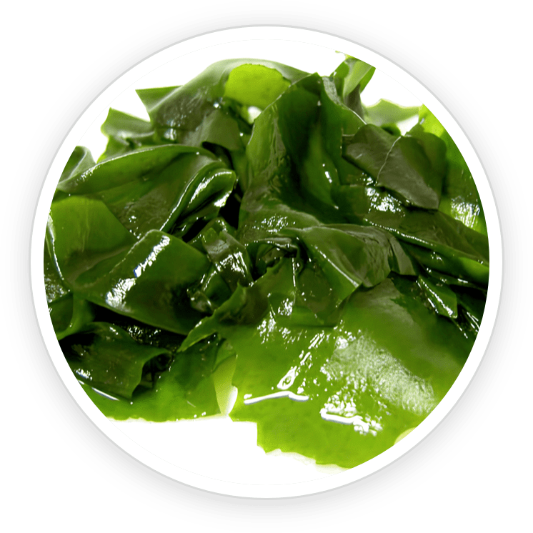 Kelp Powder - Rich source of iodine for optimal brain function